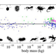 Illustration for article titled It's Body Length, Not Mass, That Lets the Cheetah Run So Fast
